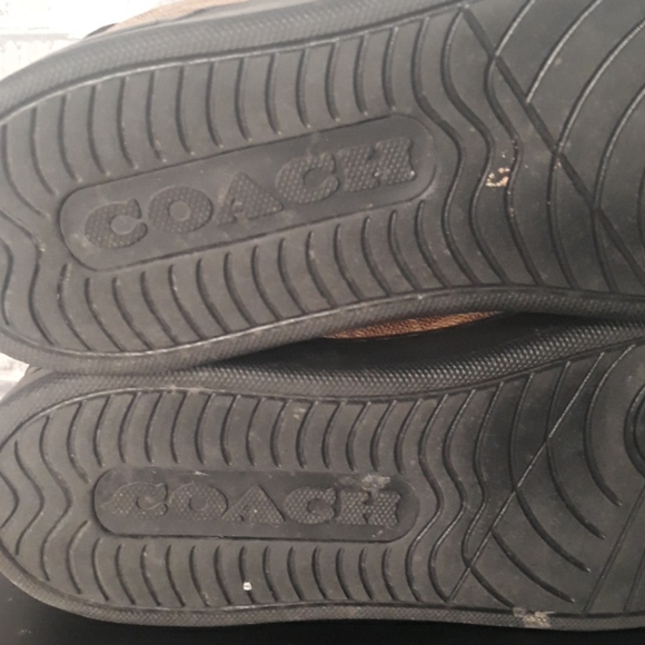 Coach low top tip tan camo - Picture 5 of 7